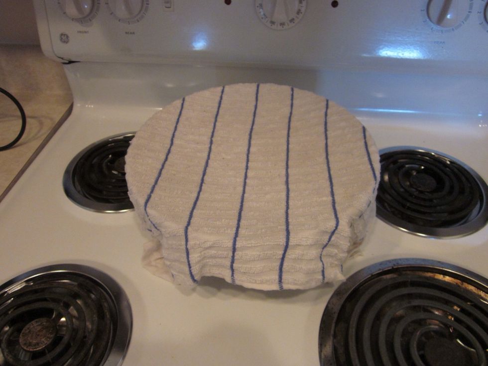 Cover your bowl with a damp cloth. The dough has to rise for 2 hours. You'll have to find something to do with your two hours on your own because I'm not writing a guide for that.