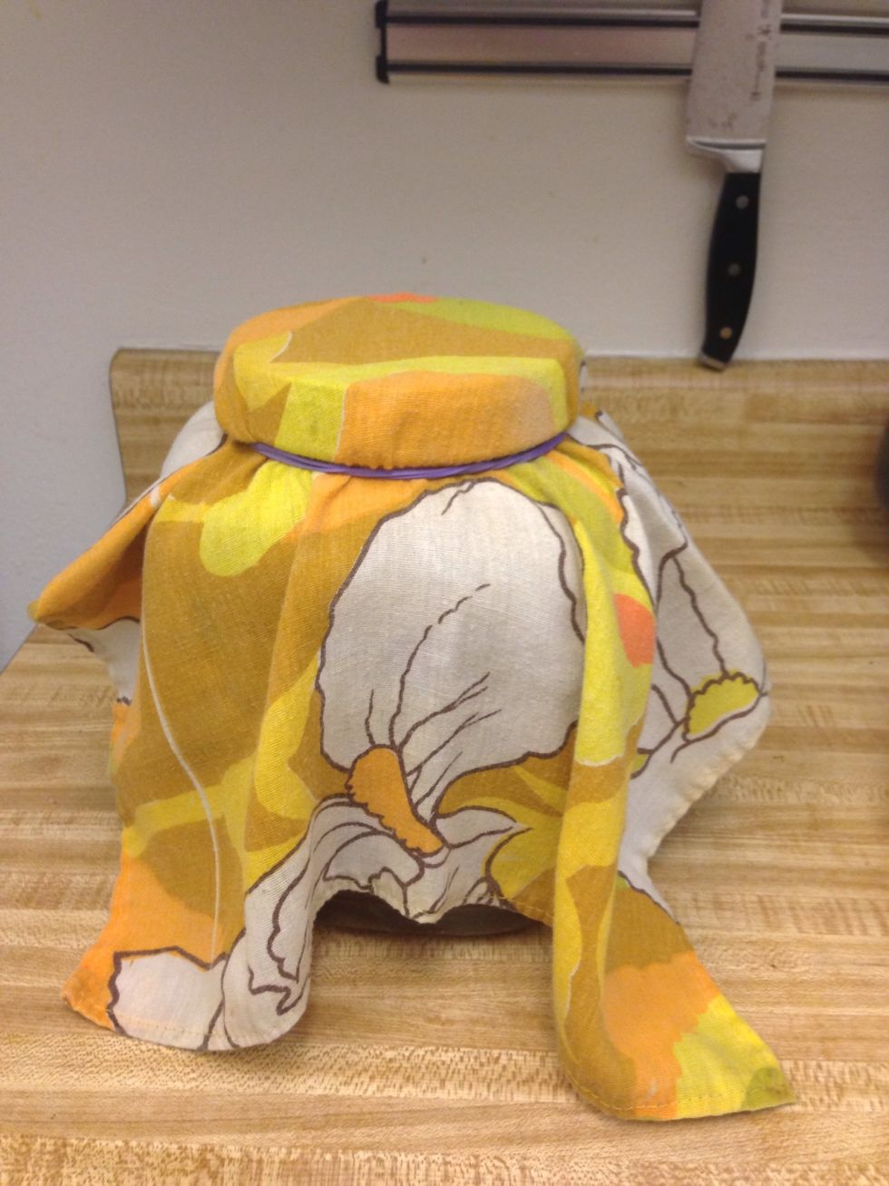 Cover your brew with a cloth and rubber band to keep bugs and dust out.