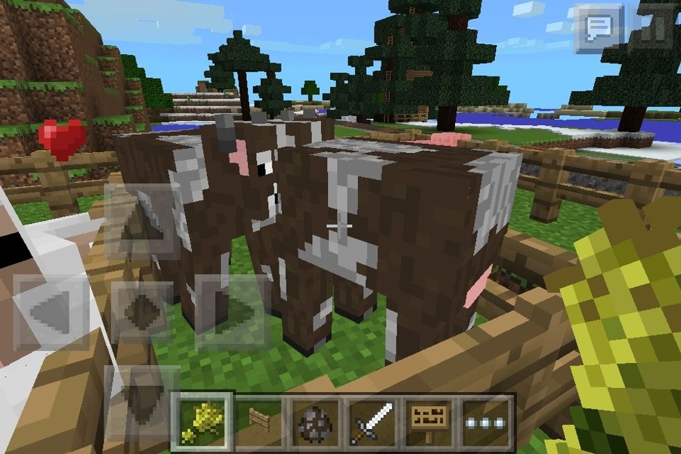 Cowsies making love.