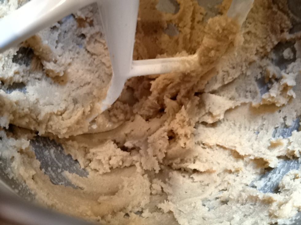 Cream the butter and sugars until light and fluffy. I use an electric mixer with the paddle attachment and this takes about 2 minutes.