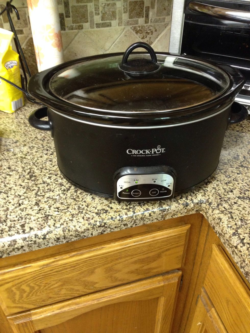 Crock Pot