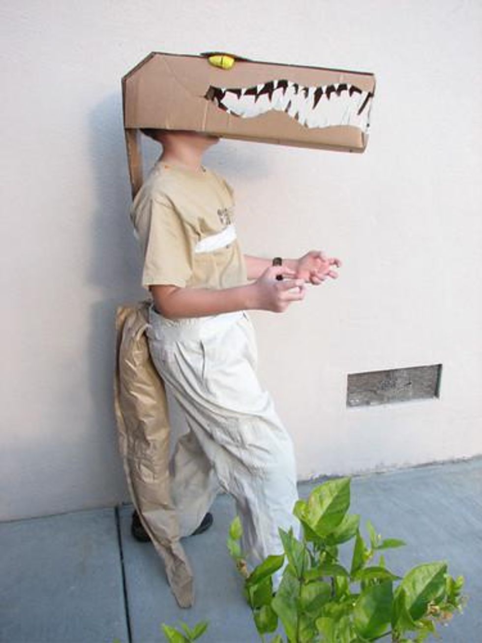 Crocodile Costume