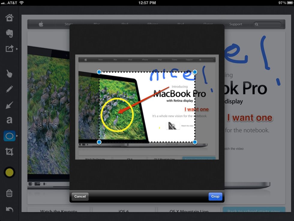 Crop your image with annotations before saving.