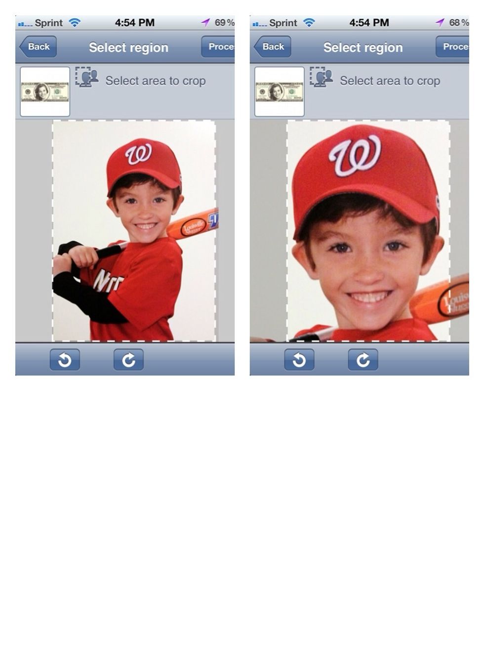 Crop your photo so just the head of your image fits in the selected area. Then press process.