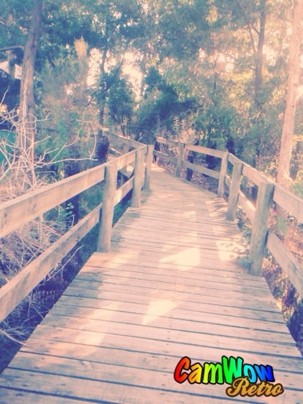 Cross the Bridge