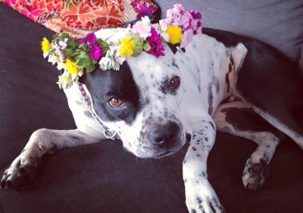 Crown yourself (or a friend).