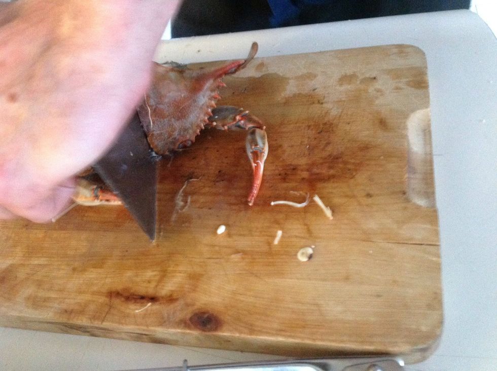 Crunch right through the exoskeleton.