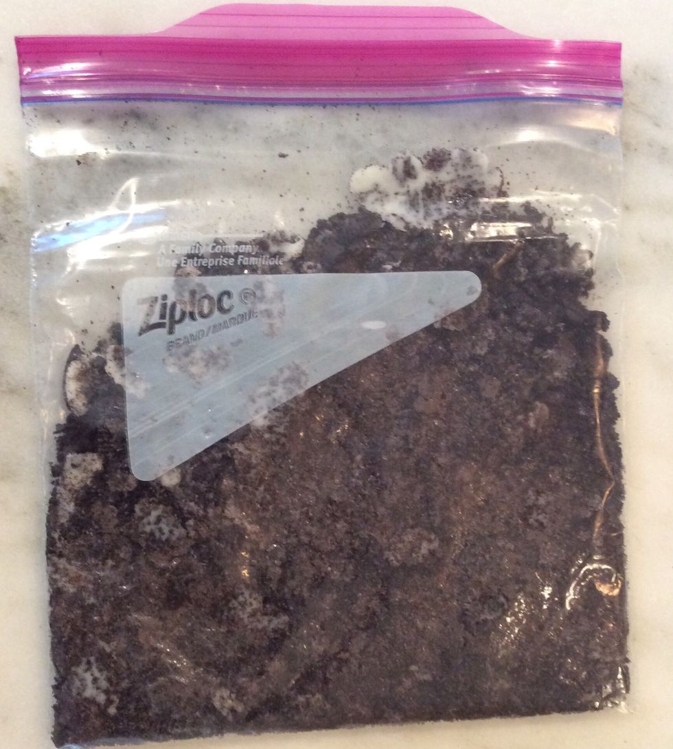 Crush 4-6 Oreos at a time in a Ziploc. Hit with a hard surface (the back of a metal measuring cup works really well)