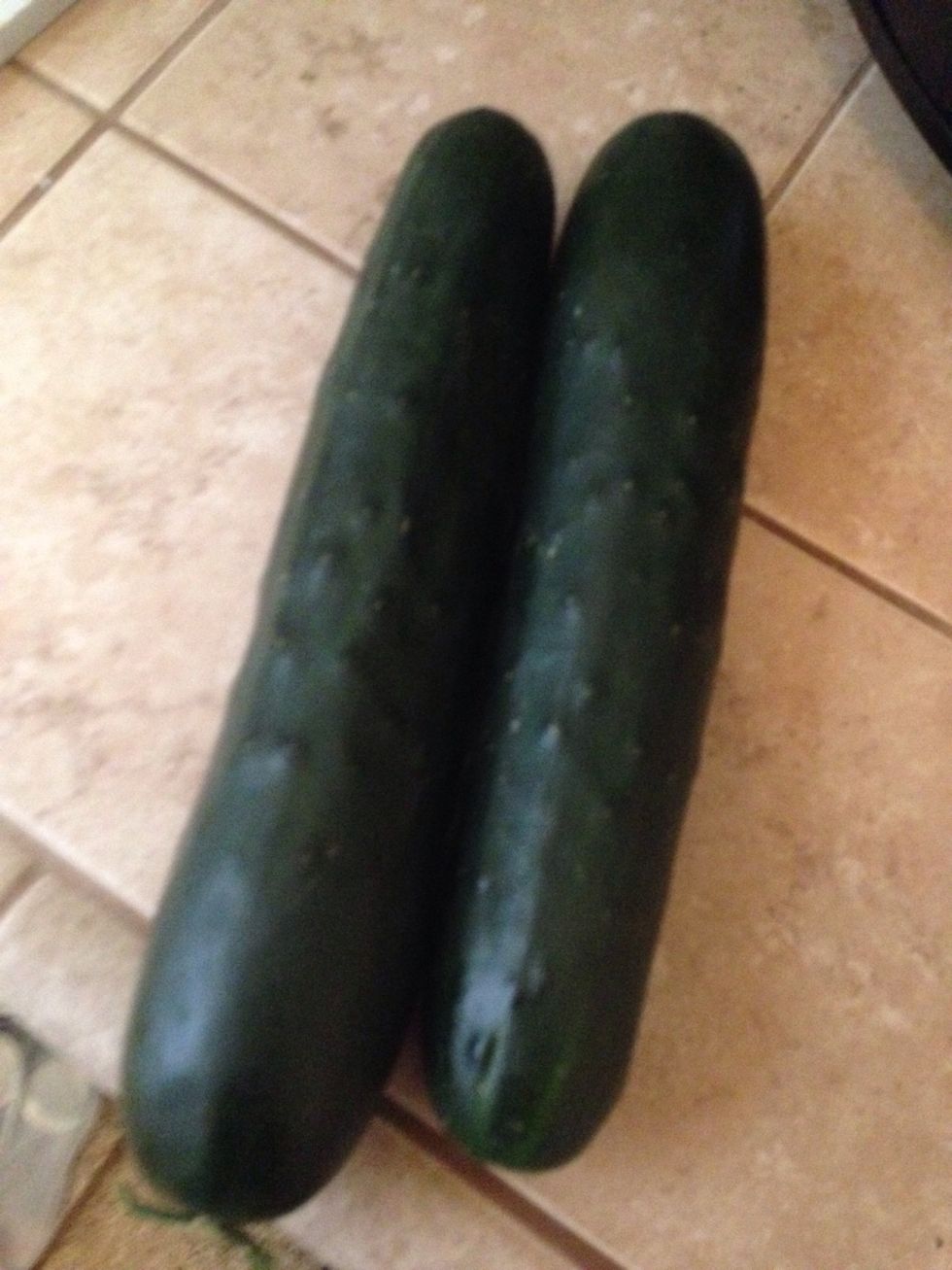 Cucumbers