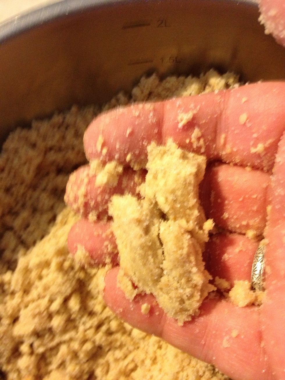 Cut 1 stick of butter into small cubes and work them into the graham cracker mixture until crumbly and it will stick together. It will seem dry but it is okay.