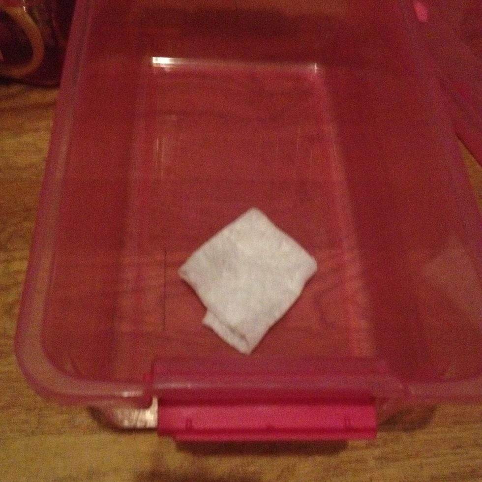 Cut a dust wipe into 4 or 5 strips to avoid wasting full wipes. Use one strip per bin to wipe away surface dust or crumbs that made their way into the corners.