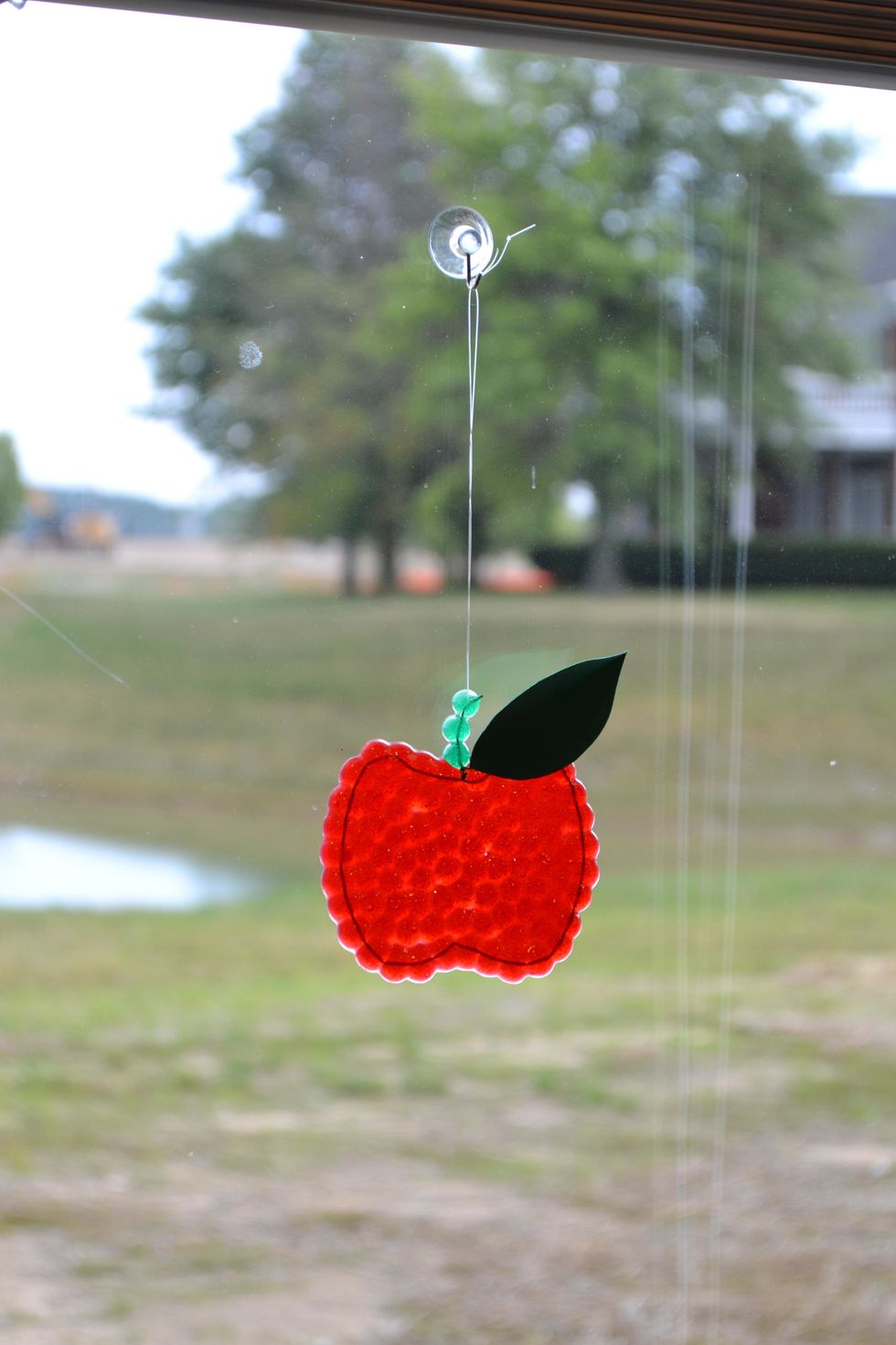 Cut a leaf out of green construction paper and use a glue dot to adhere it to the exposed wire. Cut a piece of fishing line and tie it to the stem creating a loop. Hang and ENJOY!