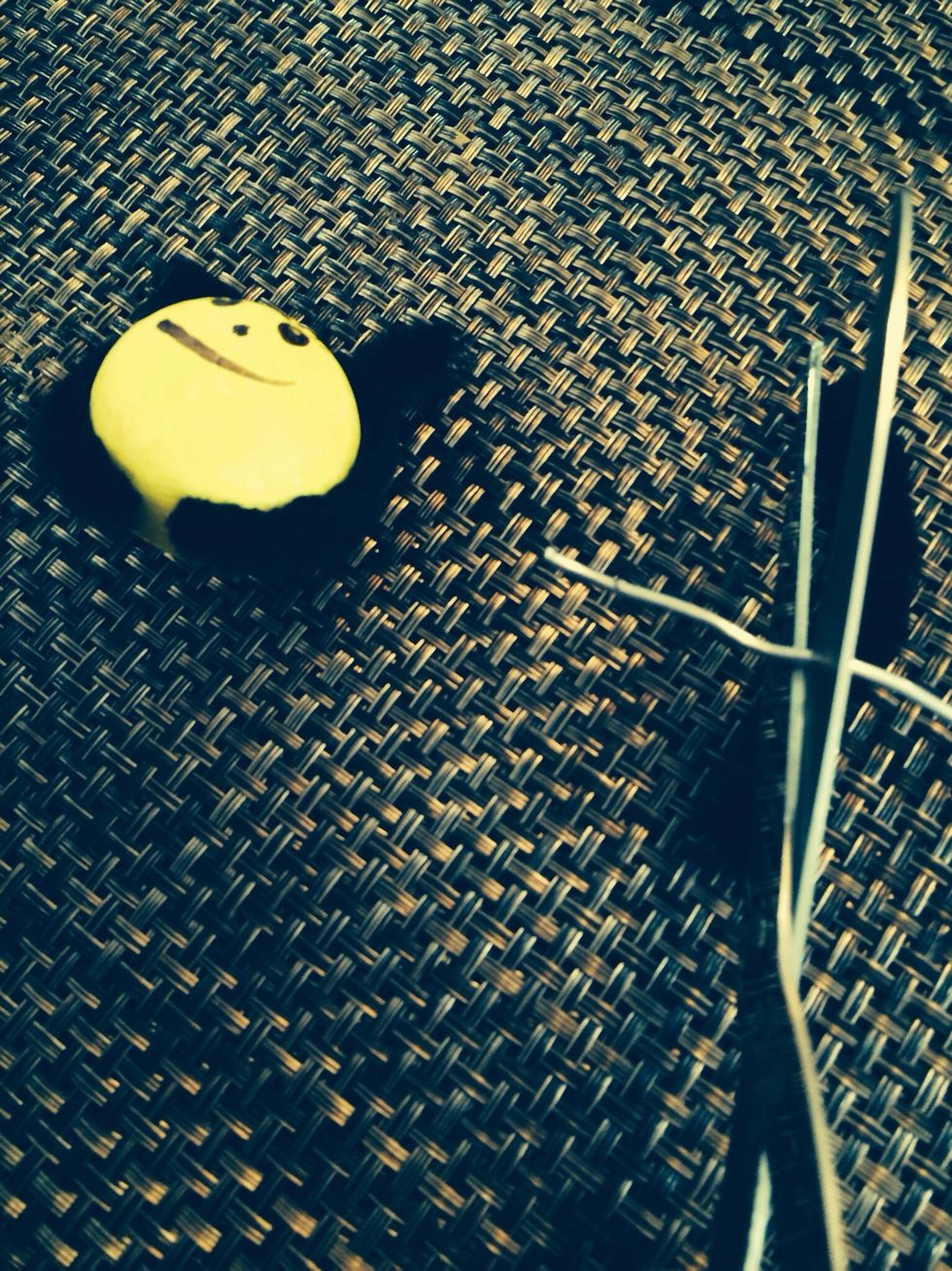 Cut a piece of wire long enough to hold two styrofoam balls together.