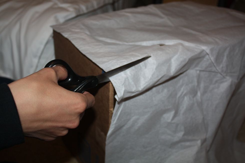 Cut a section of tissue paper, large enough to fit over each of the openings you cut