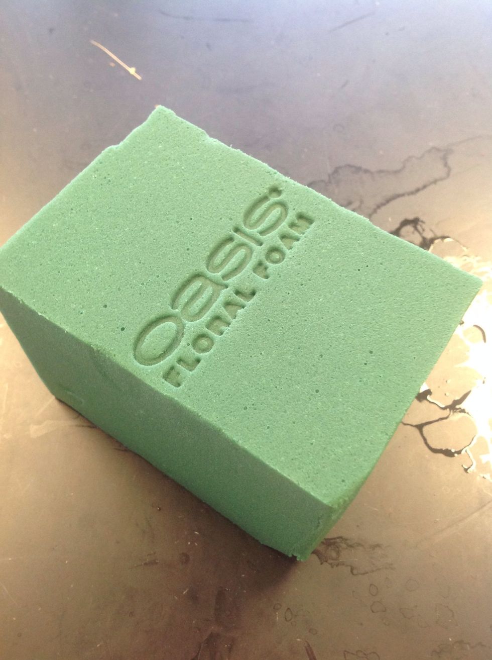 cut a third off of your brick of Oasis floral foam. Place the holes facing down in water and let it sink.