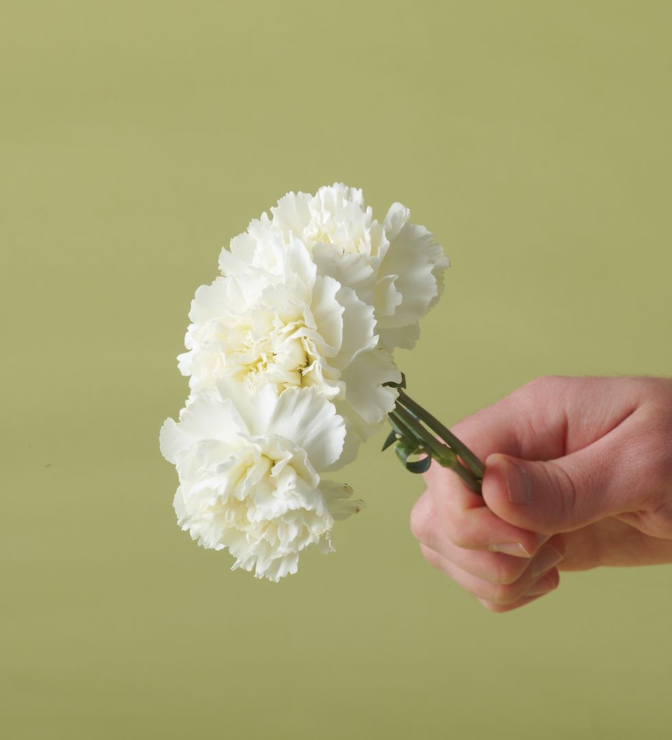 Cut all stems down to 6" and tape three carnations together with floral tape