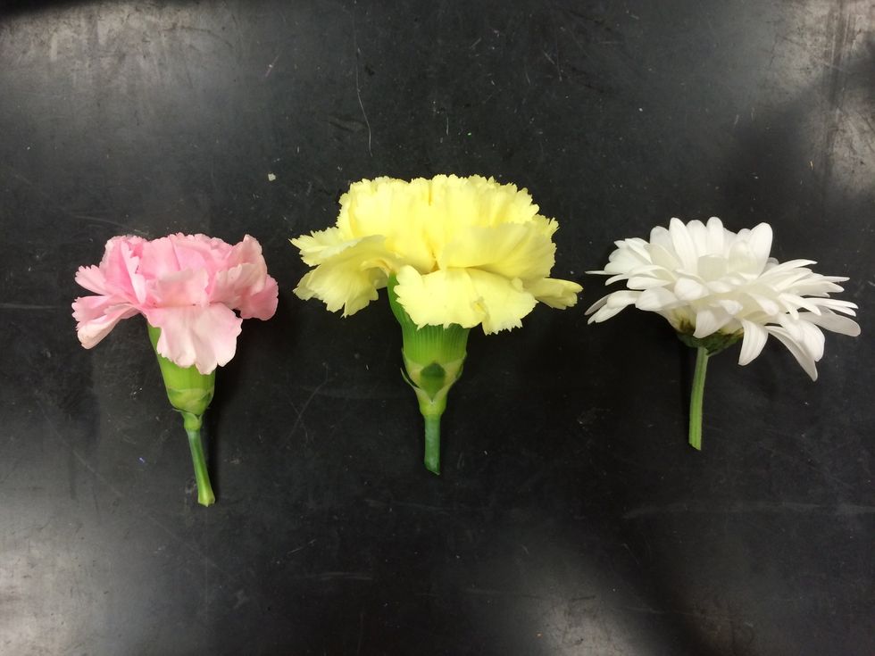 cut all stems on an angle to about 1 inch.