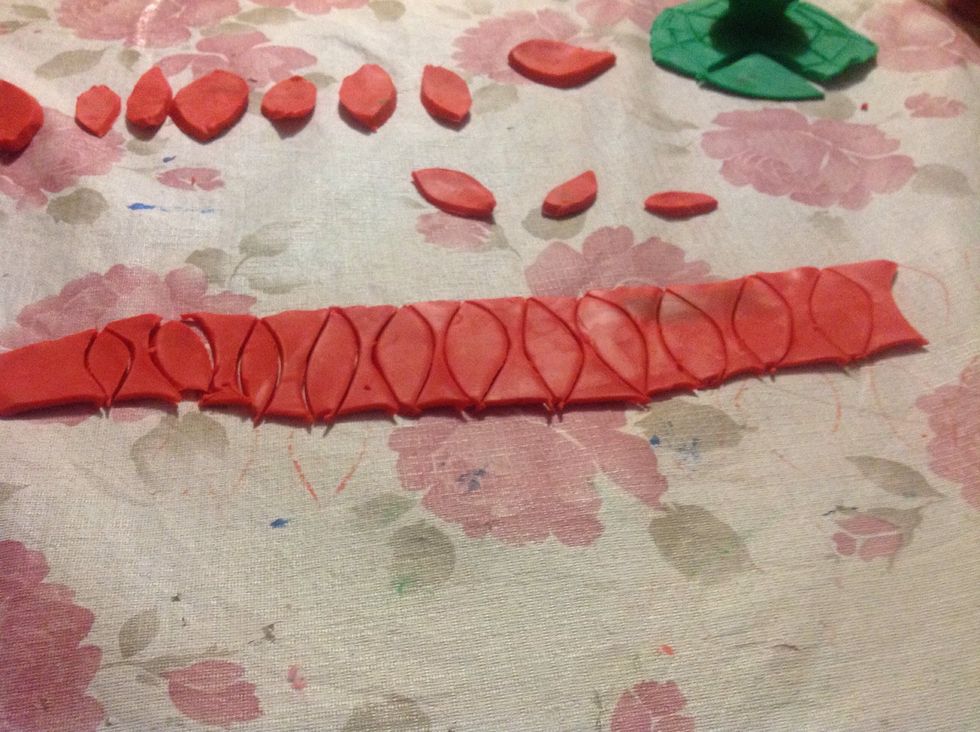 Cut an petal shape with different sizes .