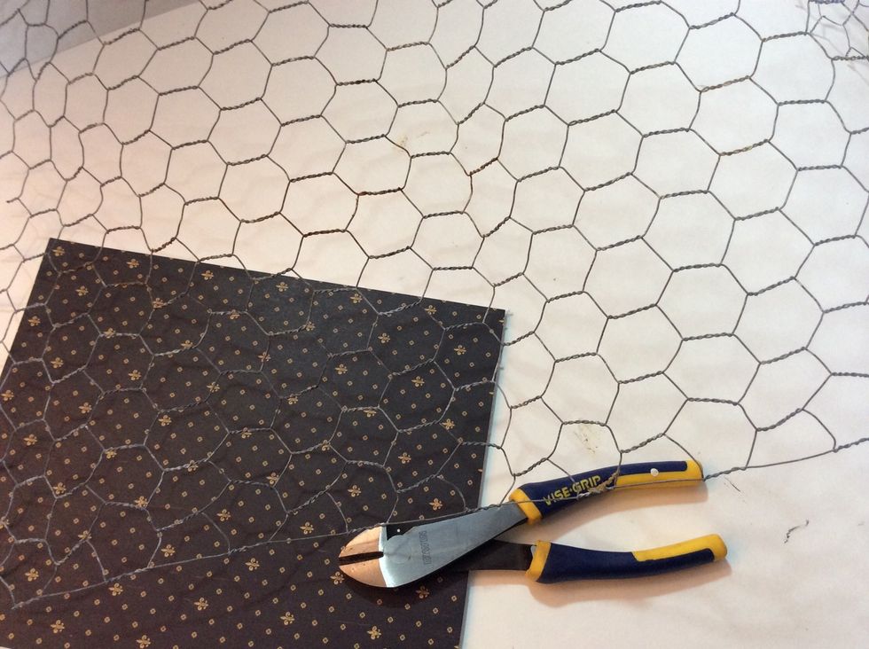 Cut chicken wire an inch larger than pane.