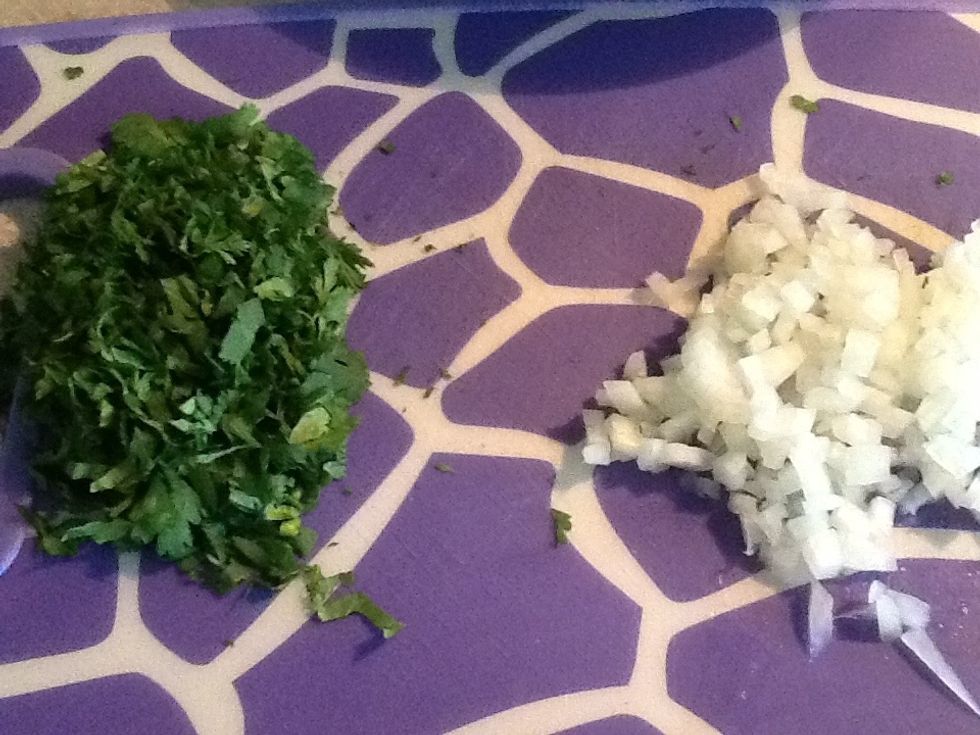 Cut cilantro and onion very fine