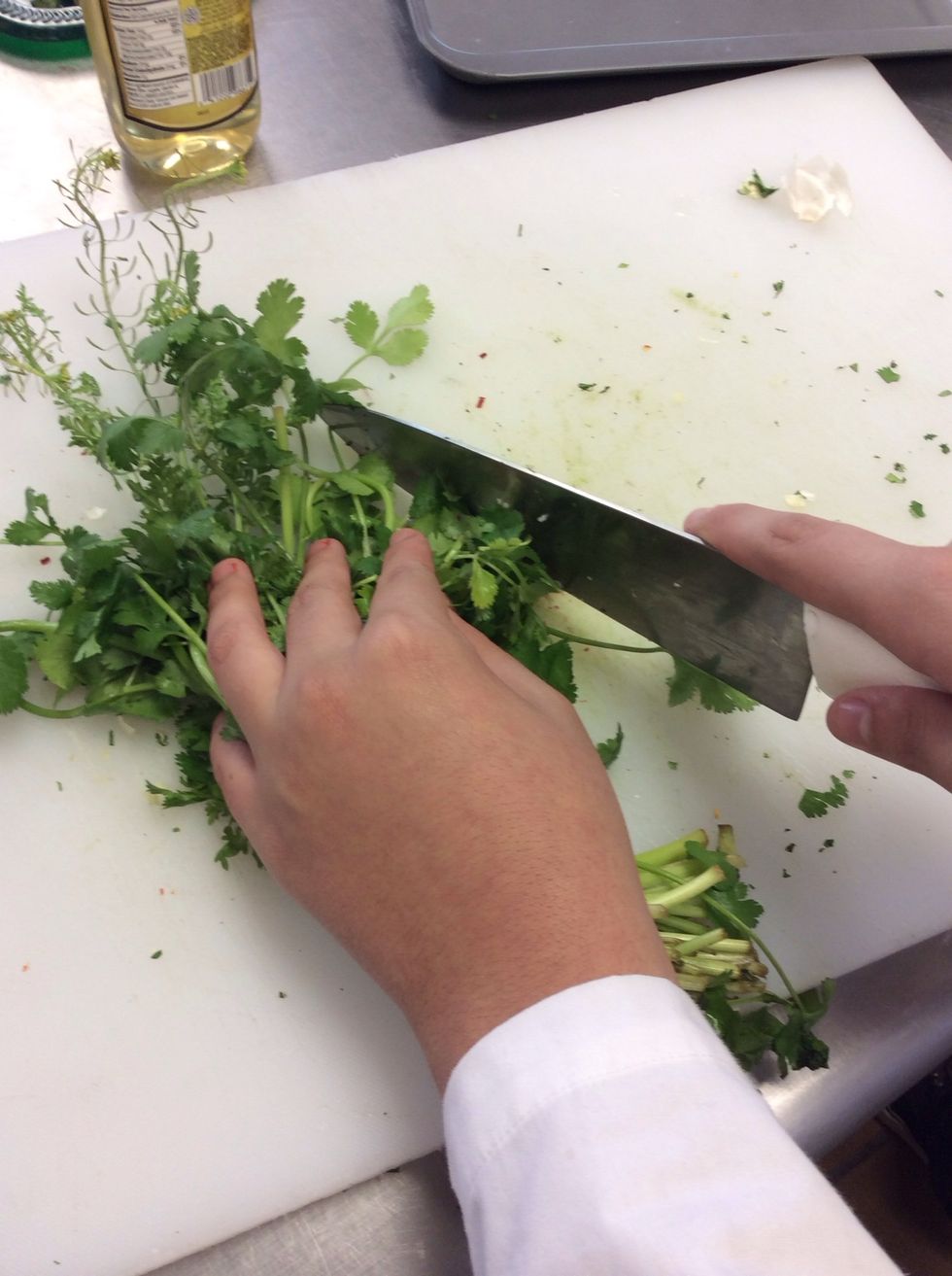 Cut cilantro, parsley, and garlic