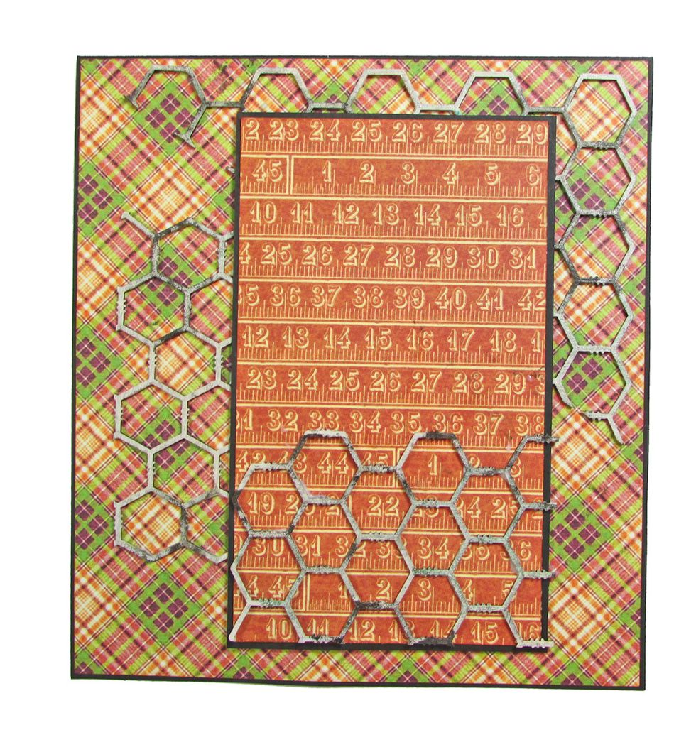 Cut G45 ruler paper to 4 7/8" x 2 7/8" and mat with black cardstock cut to 5" x 3". Use foam tape to attach to the card, just right of center. Add more chicken wire pieces to the card as shown.