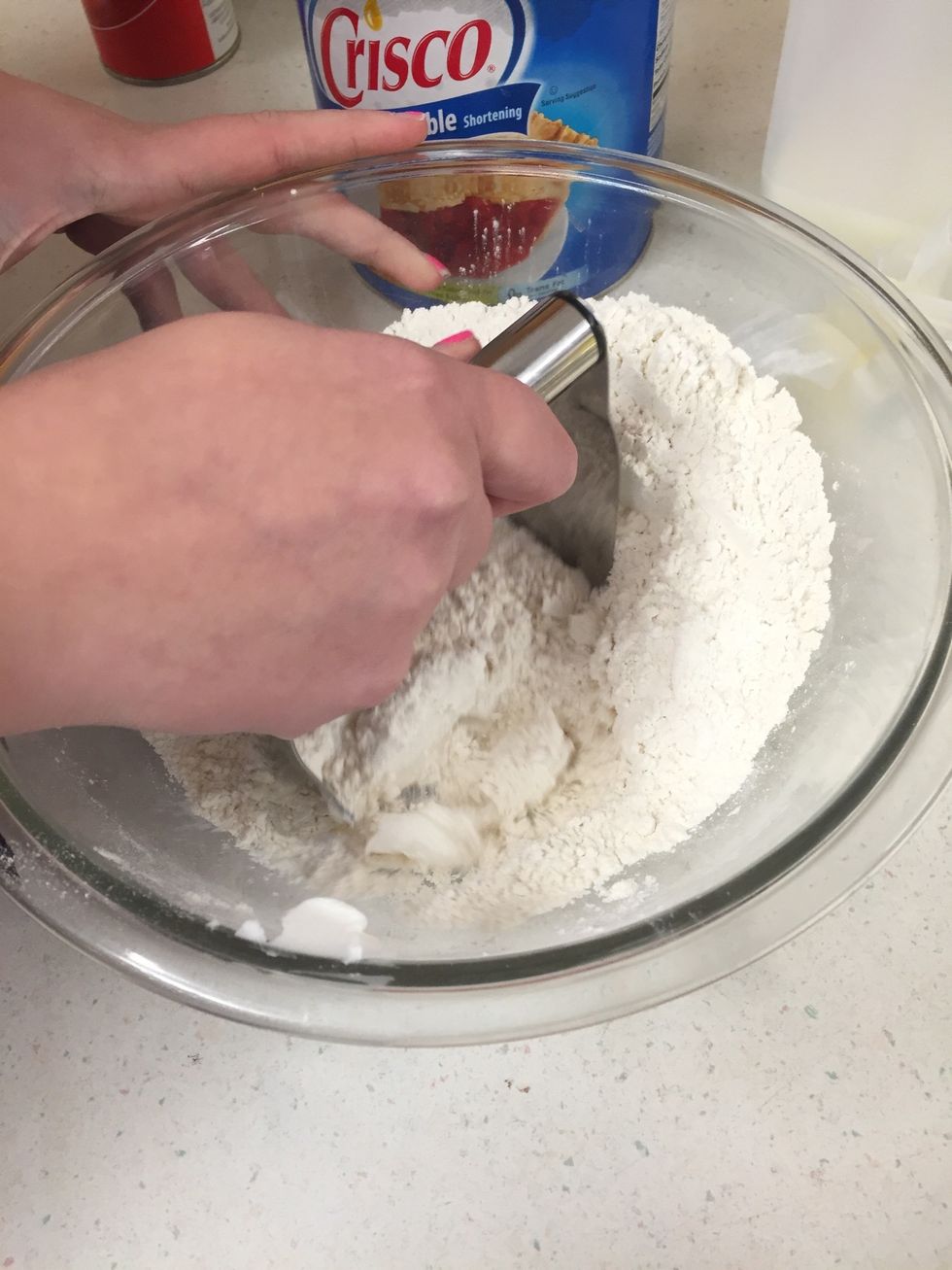 Cut in shortening with pastry blender until mixture looks like coarse crumbs