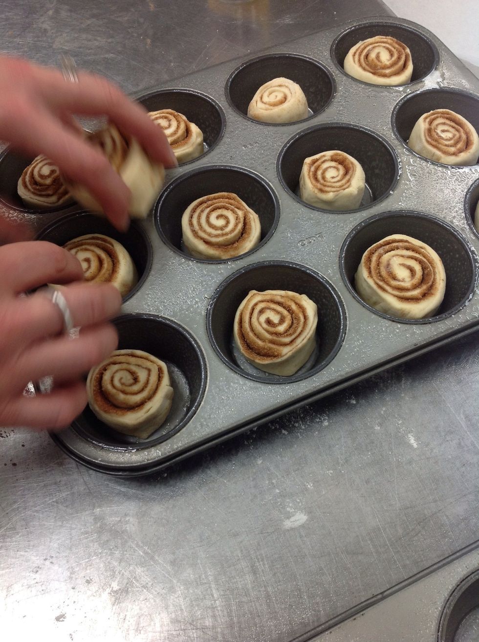 Cut individual rolls and place within each cupcake slot