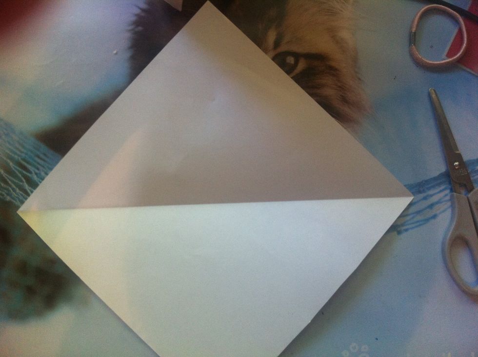 Cut it and open it so it looks like this.