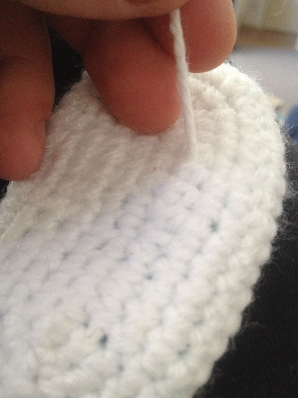 Cut off tail as close to sole as possible