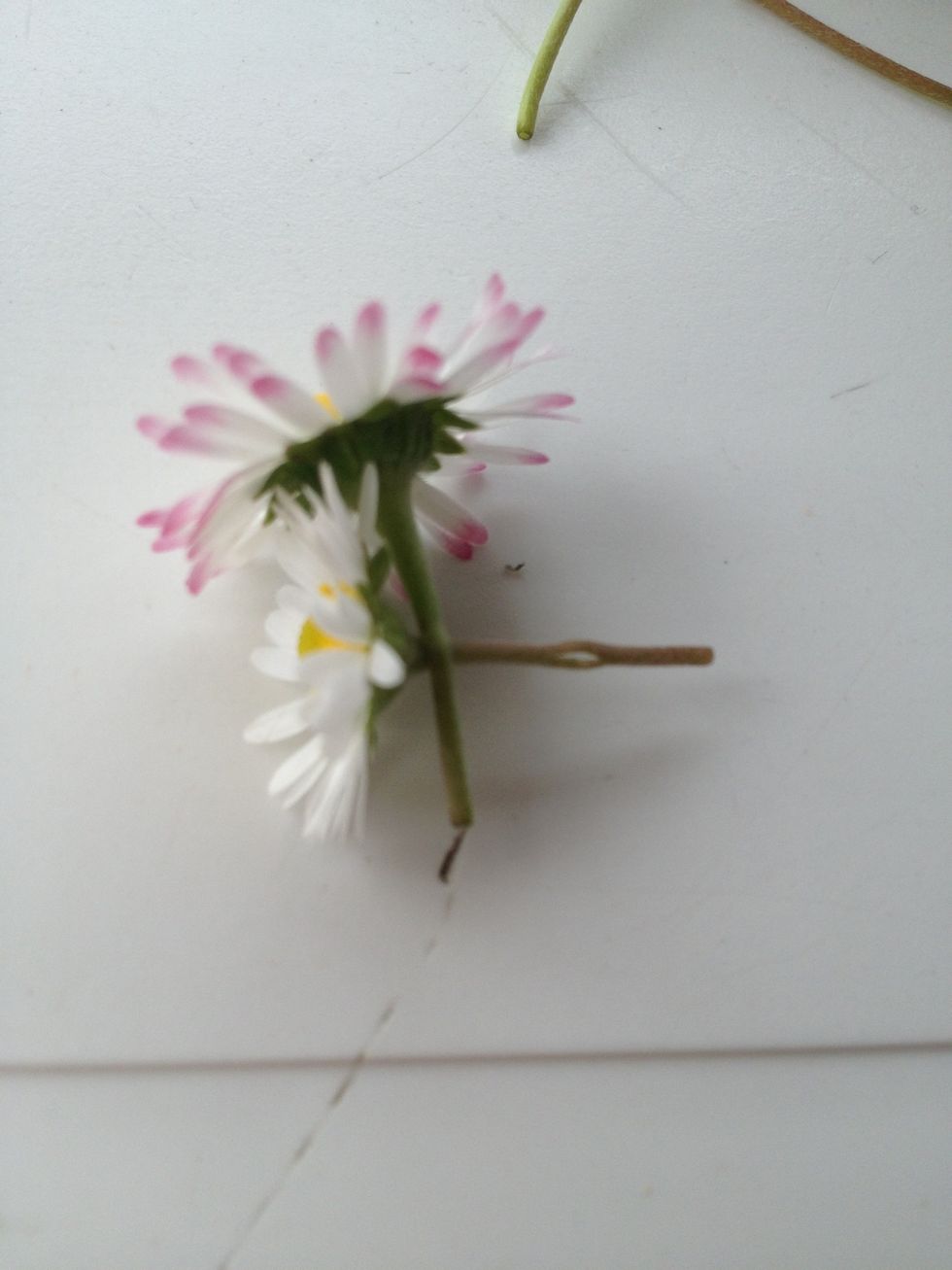 Cut off the twigs and make a little hole in the second one.