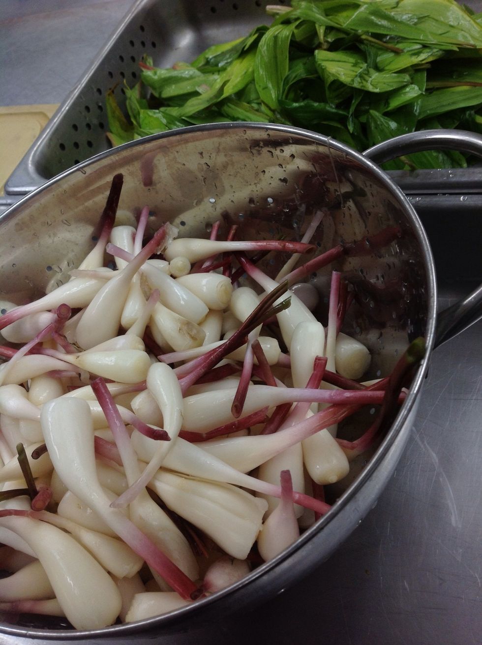 Cut off tops and save to make pesto