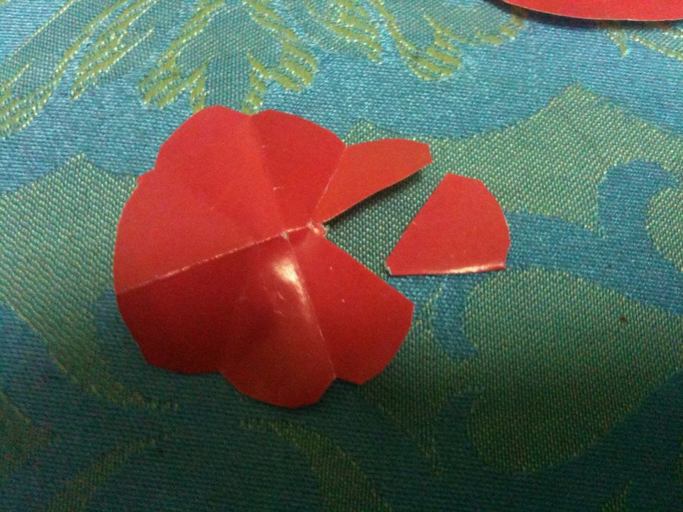 Cut one of the petals