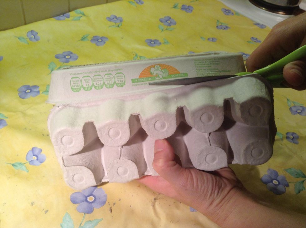 Cut or tear with fingers the lid of the egg carton.