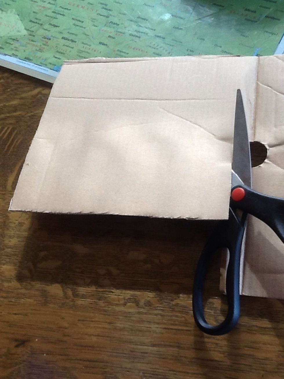 Cut out a piece of thick cardboard. I used a piece of cardboard from a shoebox and it worked pretty good.