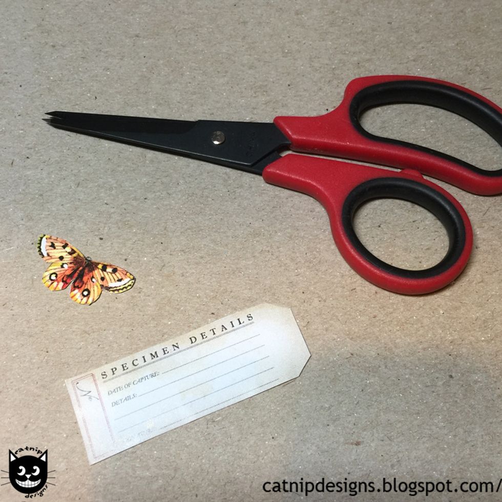Cut out a specimen tag and butterfly from the Winged Things Collage Sheet...