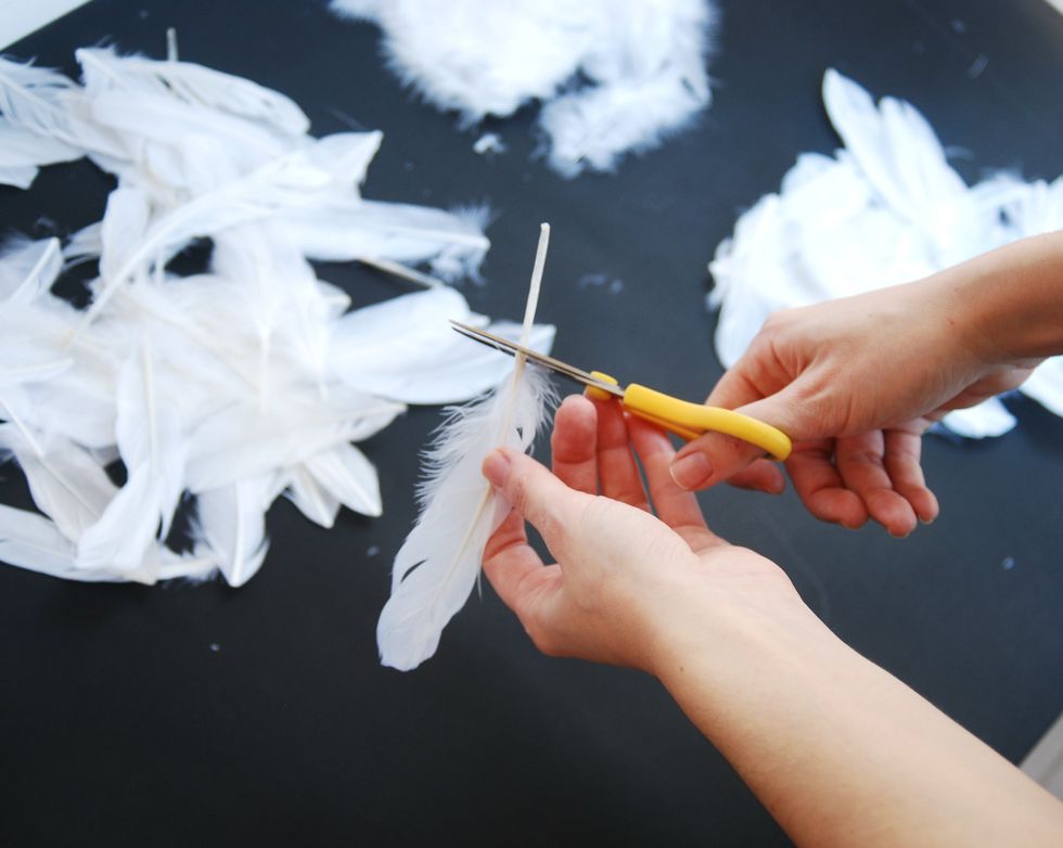 Cut out feathers pens