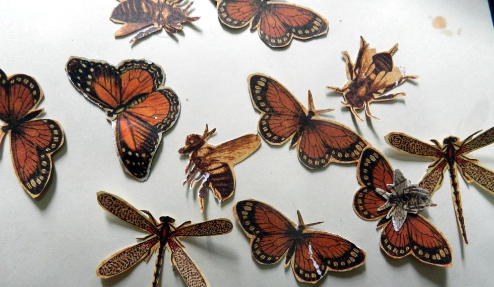 Cut out some insects from G45 Botanicabella Deluxor Collector\u2019s Edition.