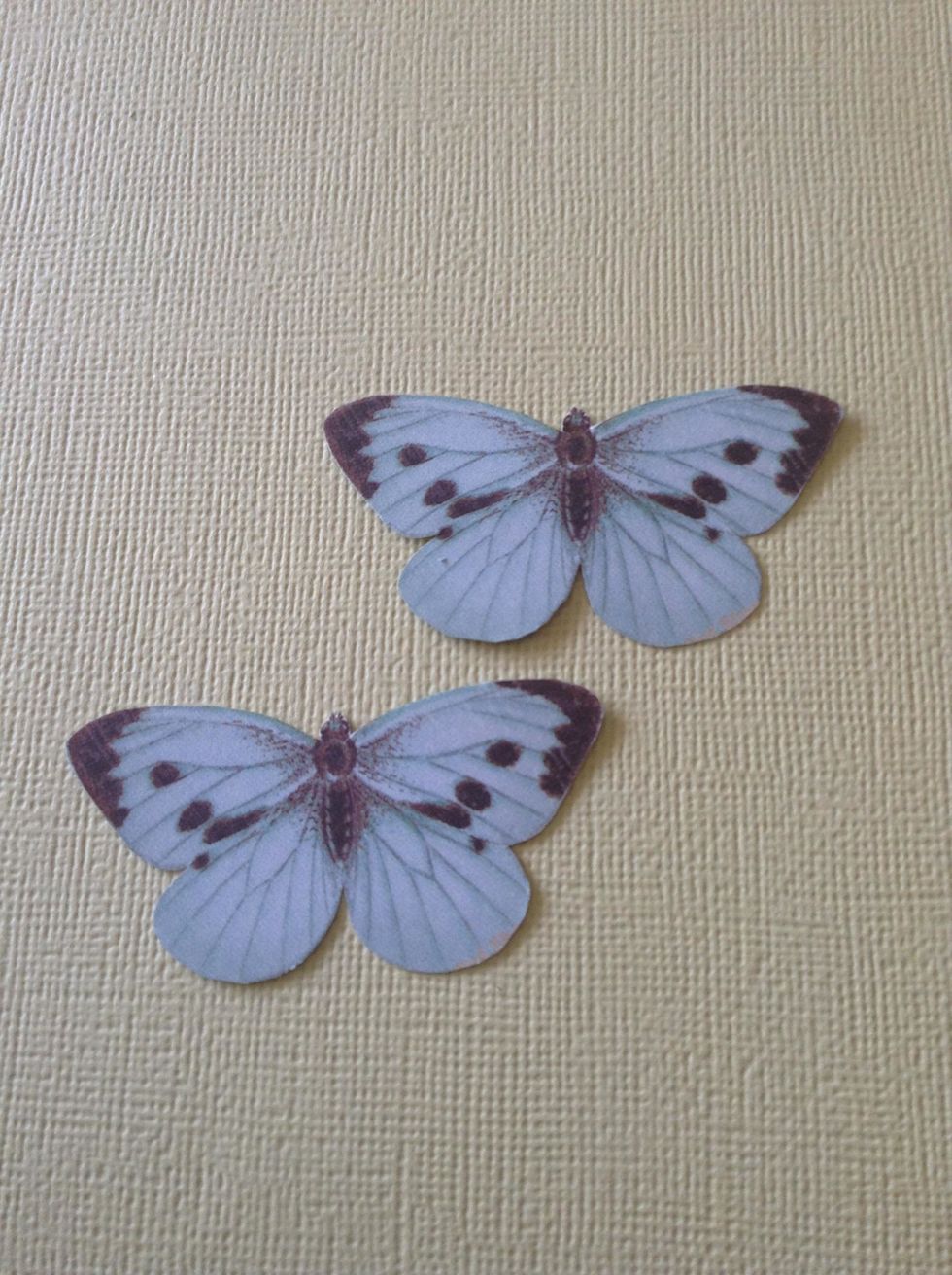 Cut out the butterflies from Botanical Tea 12x12 Graphic 45 papers