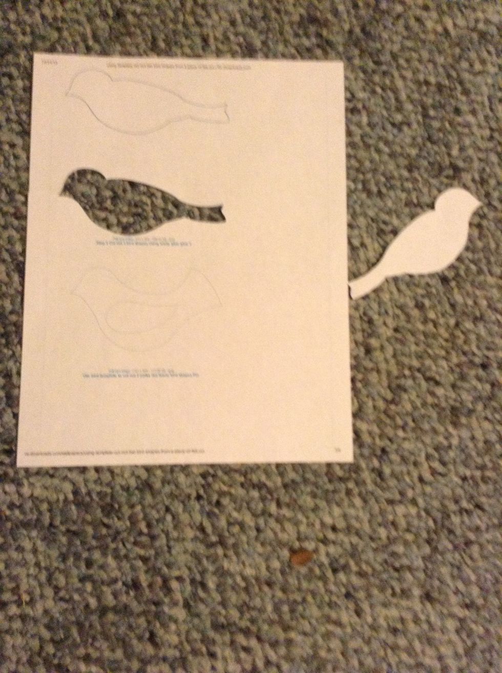 Cut out the templates. (You can find them on google by searching "paper bird templates")