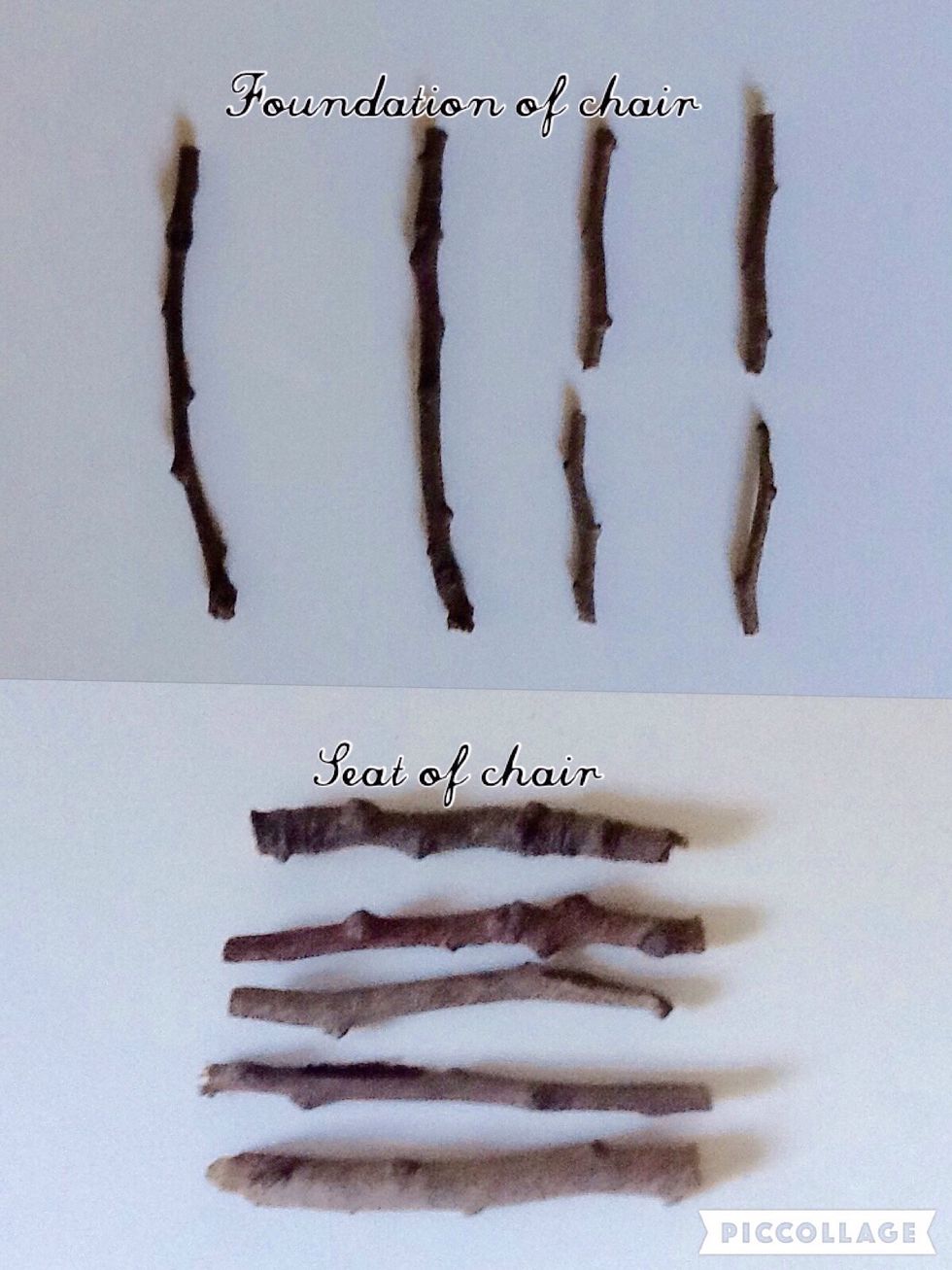 Cut out two 5 inch long twigs, four 1.5 inch long twigs, and five 2 inch long twigs.