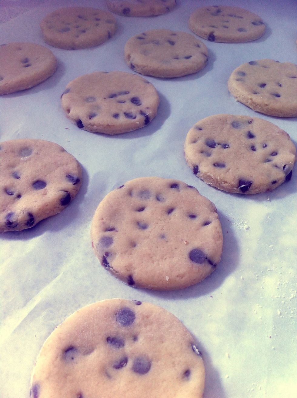 Cut out Welsh cakes.