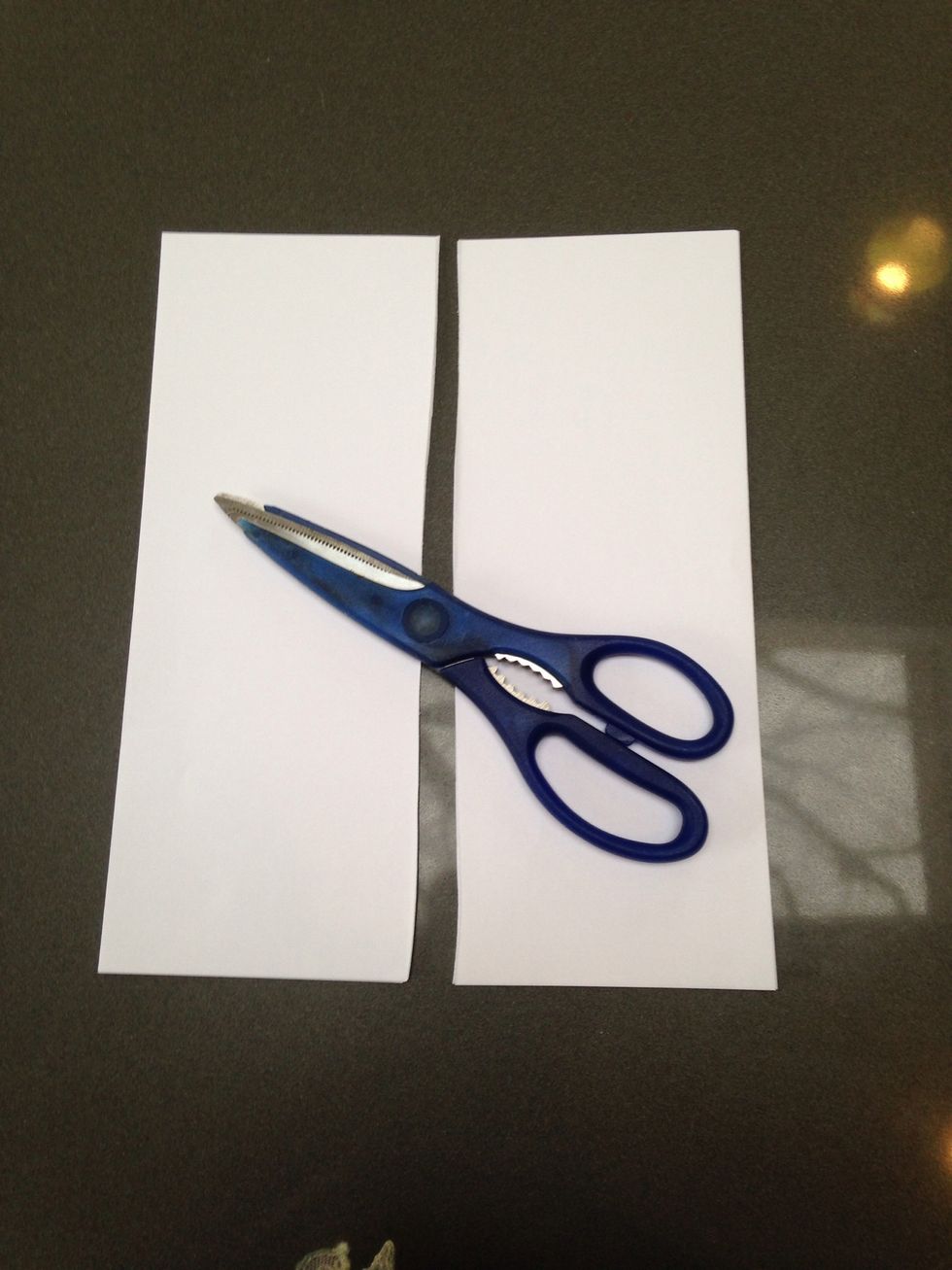 Cut paper, in half, lengthwise.