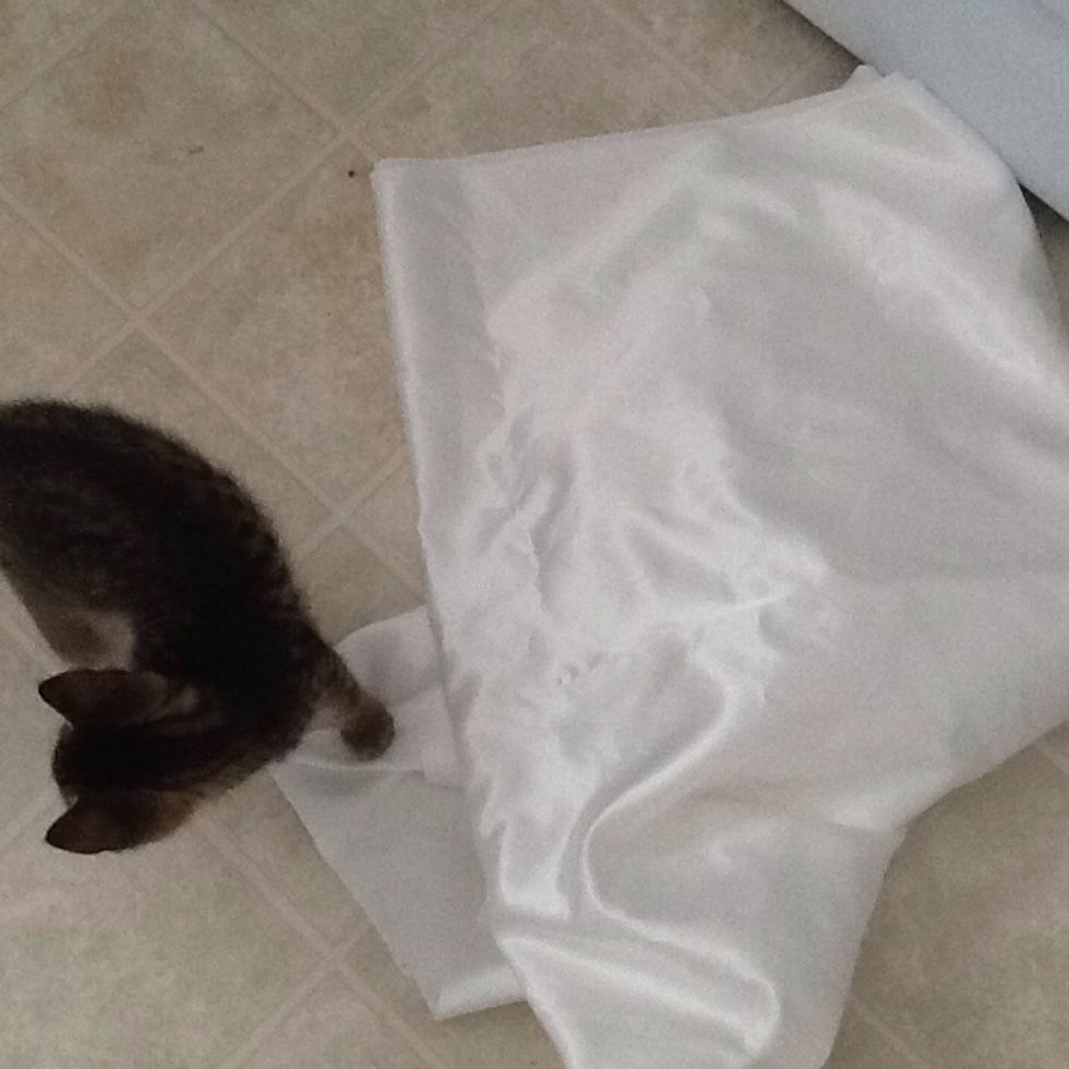 Cut some fabric...lol
