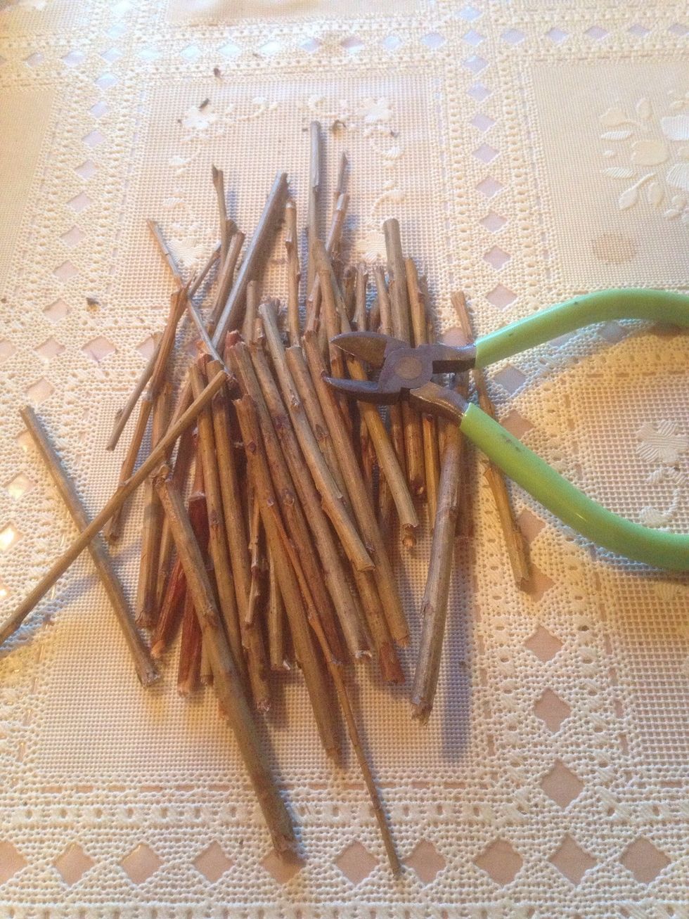 Cut sticks to 2 1/2 inch lengths.