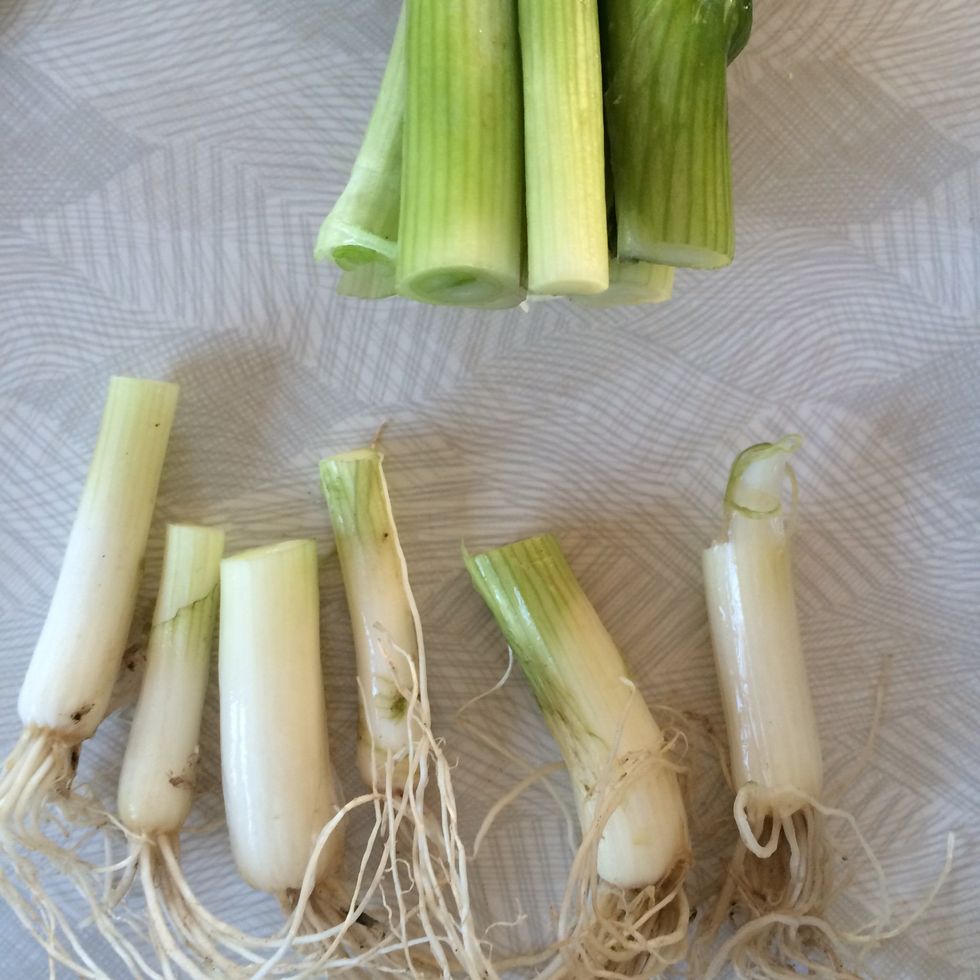 Cut the bottoms off your spring onions, a few centimetres from the roots.