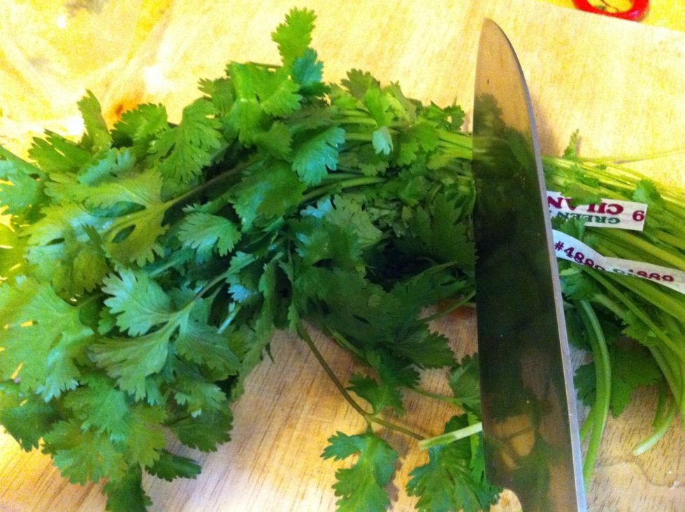Cut the bunch of cilentro from the bottom. I would cut it where they tie the bundle