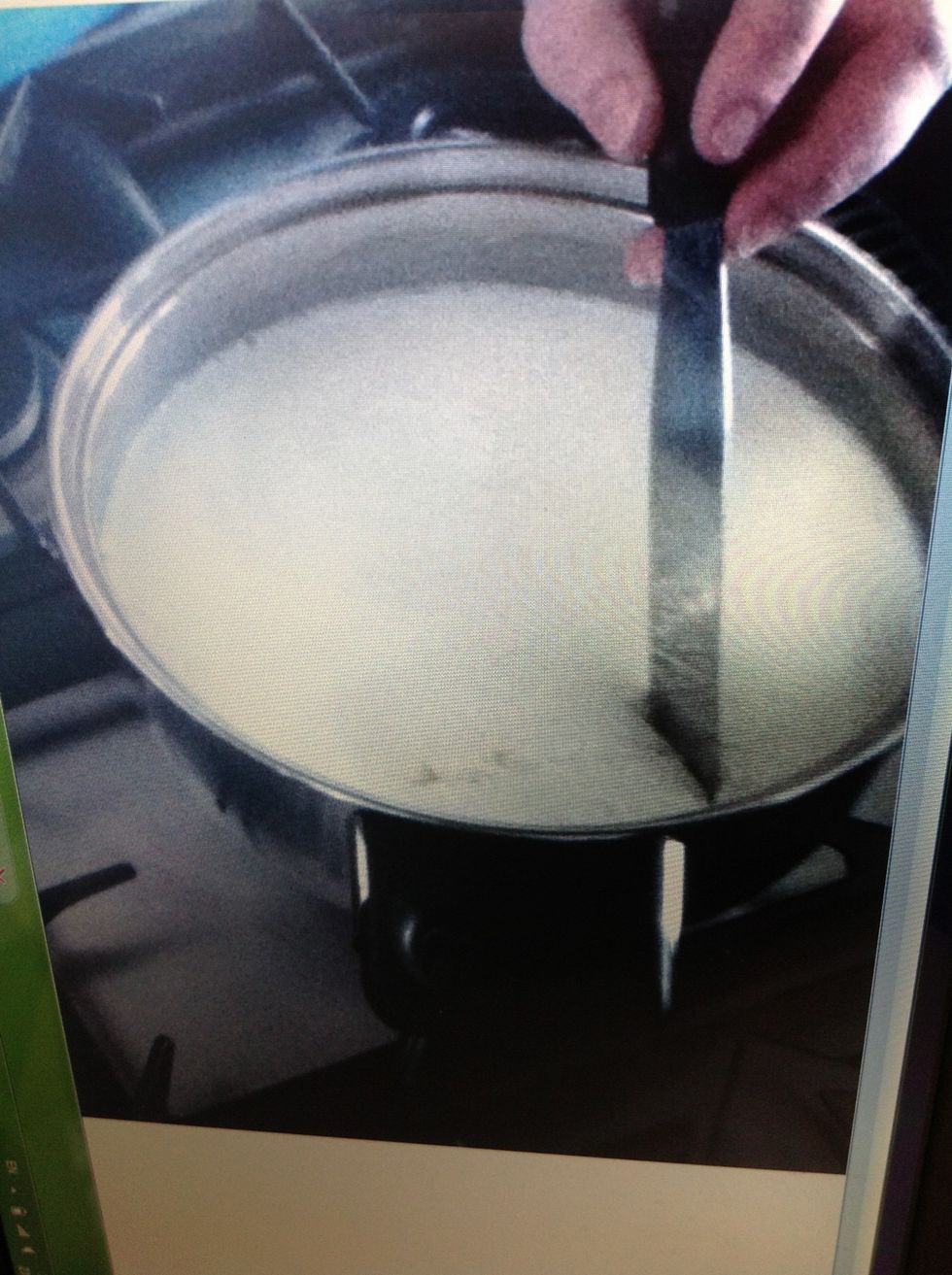Cut the curd using a knife that reaches all he way to the bottom of the pot. First cut it into strips, about 2cm wide then do the as,e across the original cuts. Then slant your knife and make cubes