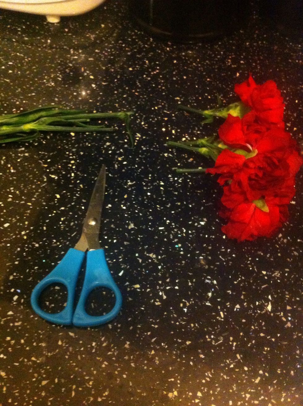Cut the flowers from the long stems.