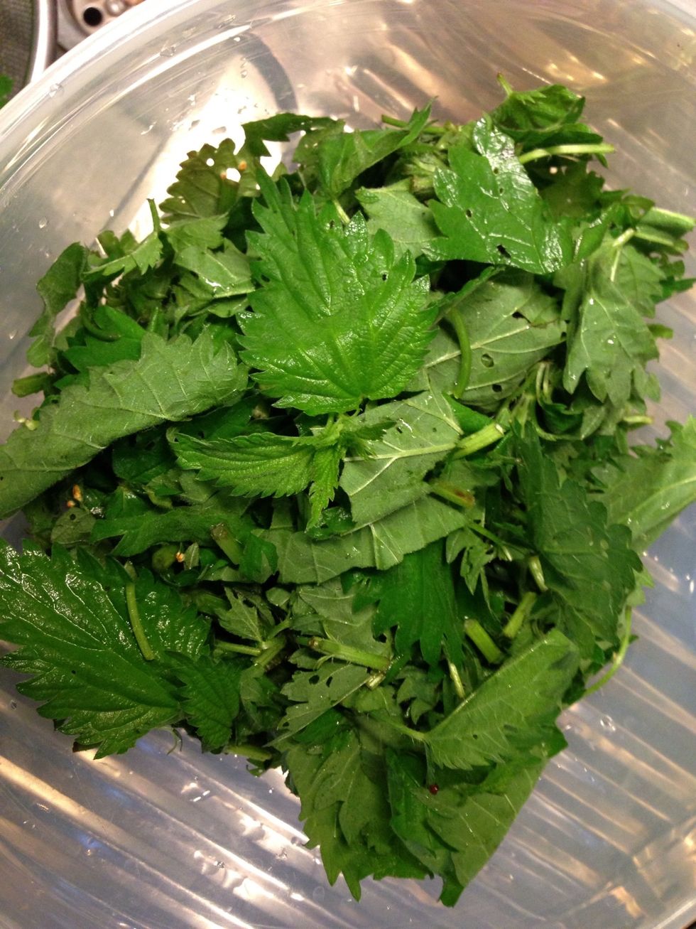 Cut the herbs. Don't cut too little or thin, they will shrink when boiled. Cut the nettles